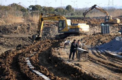 南京農田水利工程建設凸顯生態(tài)理念 草坡取代混凝土